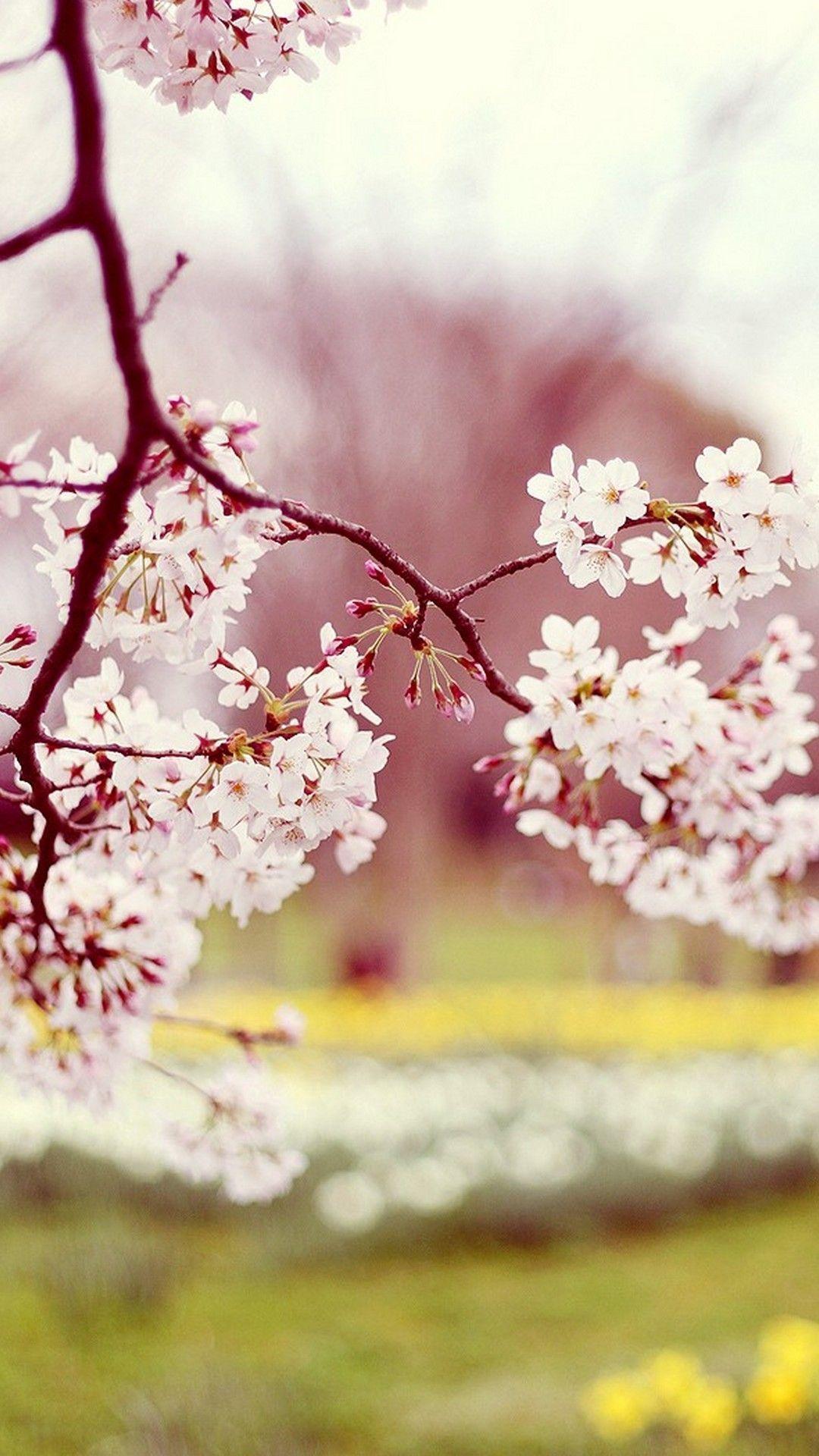 1080x1920 Cute Spring Wallpaper