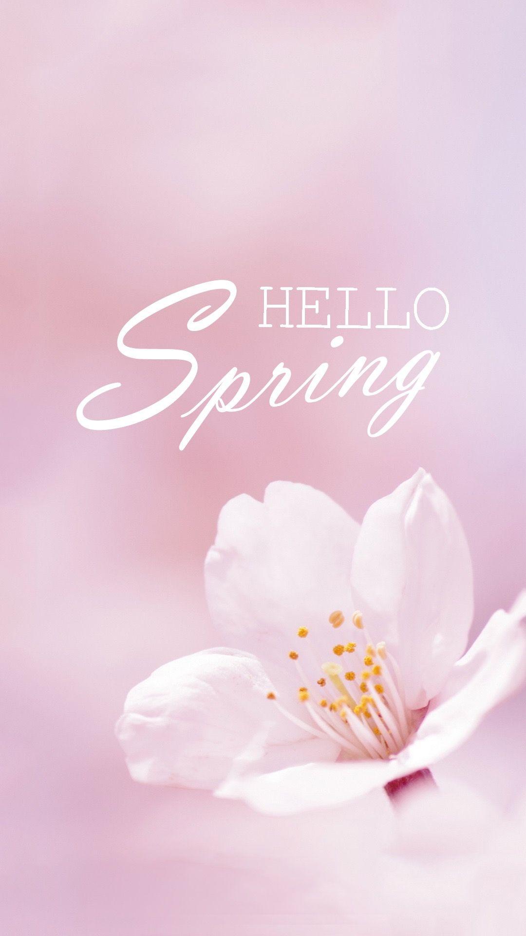 30+ Hello Spring Wallpaper Iphone - Venera Wallpaper