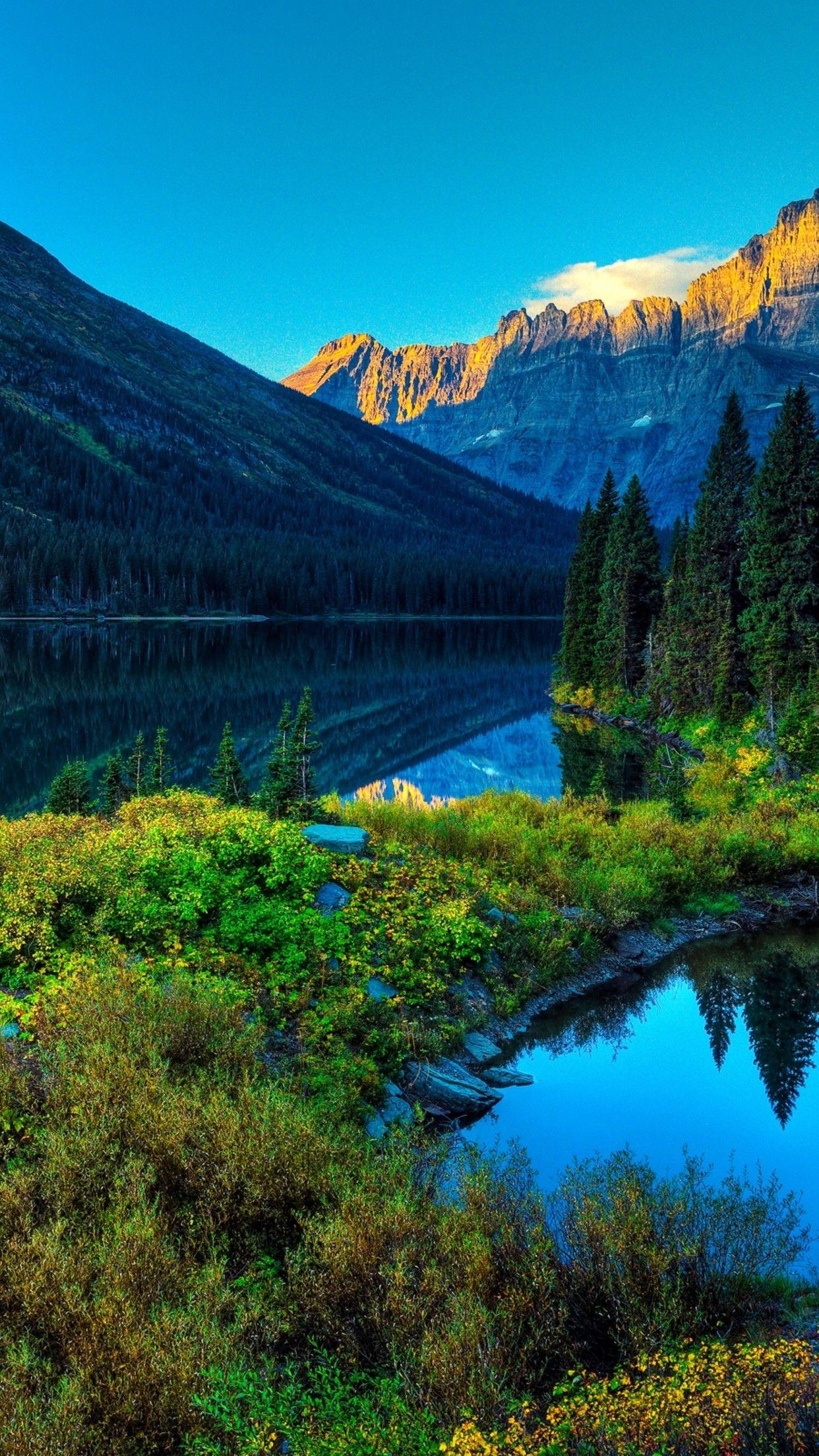 1242x2208 Nature Dreaming of spring iPhone parallax Wallpaper