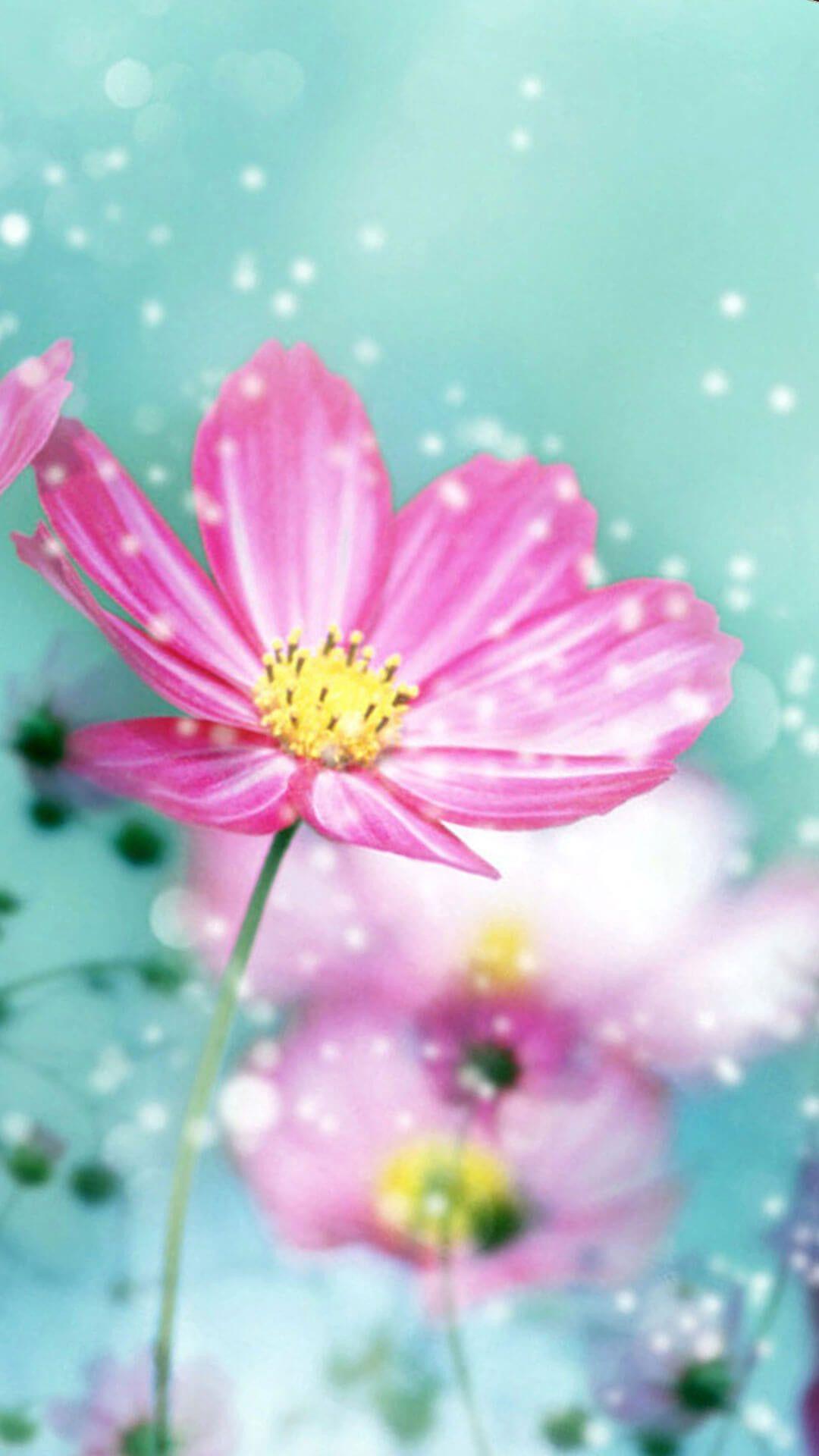 1080x1920 Flower Wallpaper iPhone