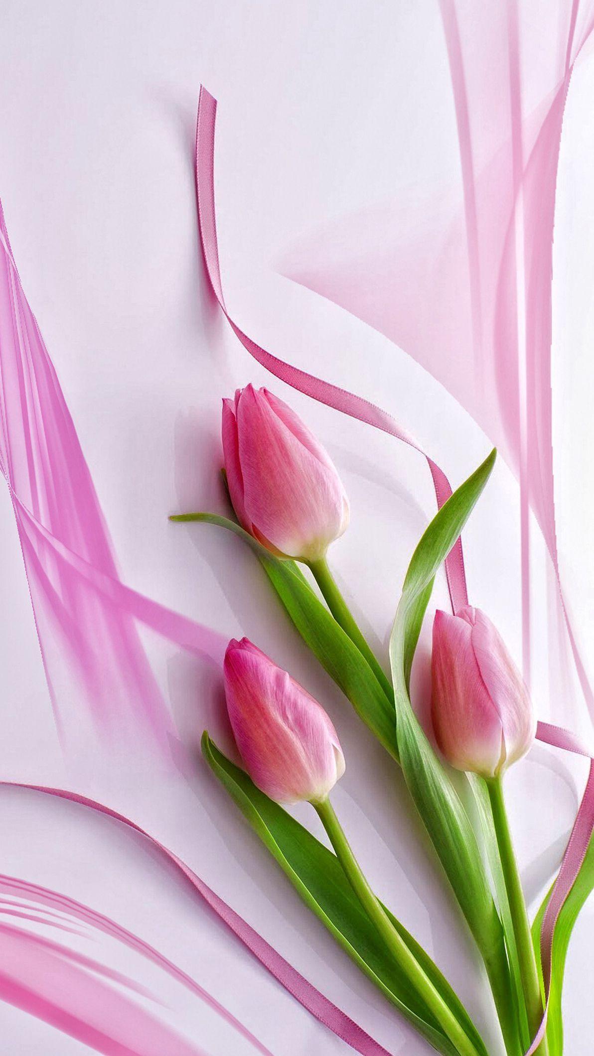 640x960 Easter Tulips iPhone 4 iPhone 4S HD 4k Wallpapers Images  Backgrounds Photos and Pictures