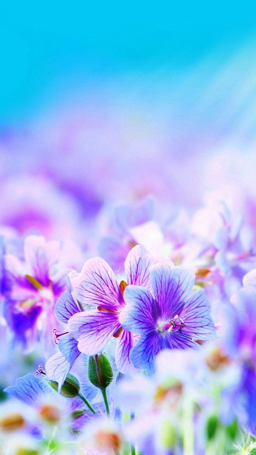 1080x1920 Pretty iPhone Wallpaper