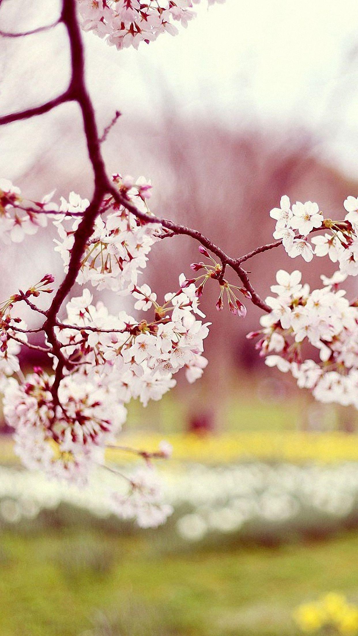 1242x2208 Cute Spring Flowers iPhone 6s Wallpaper HD