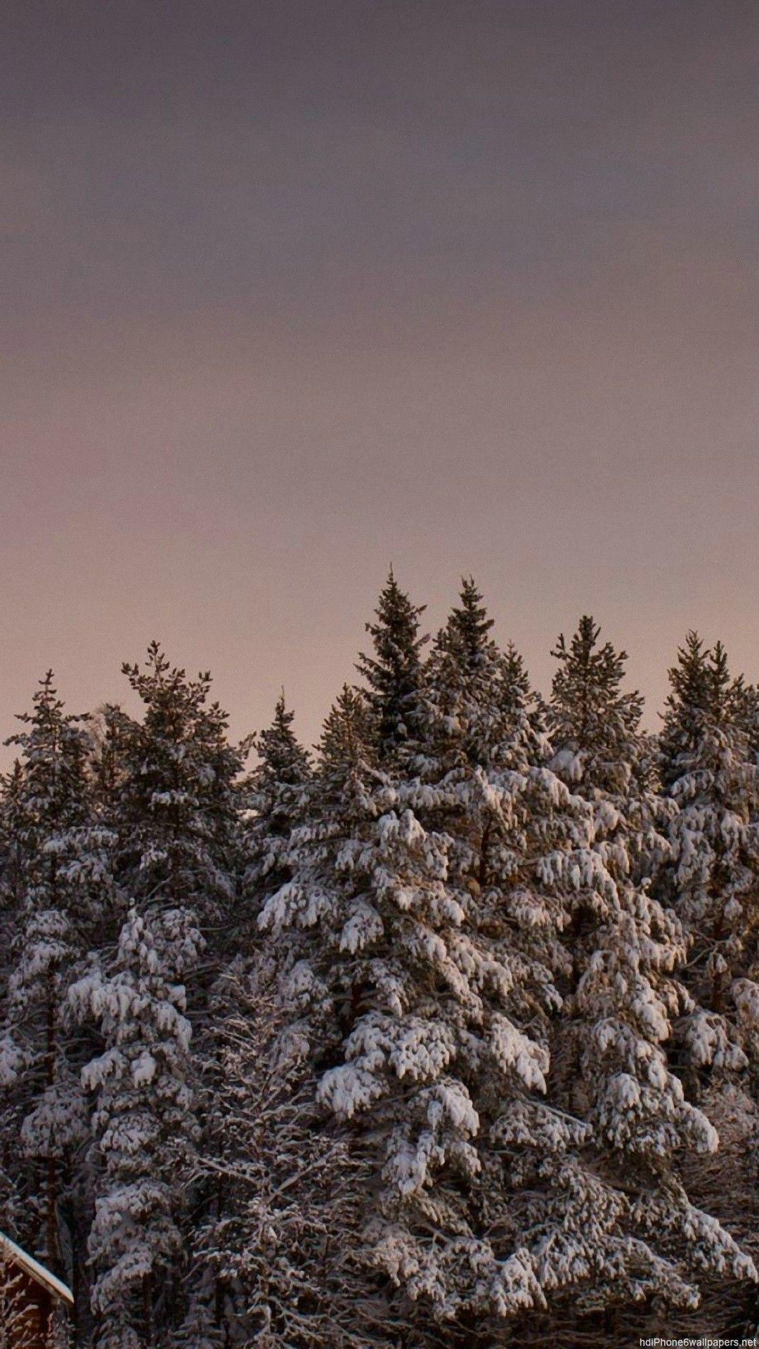 1080x1920 Snow iPhone Wallpaper