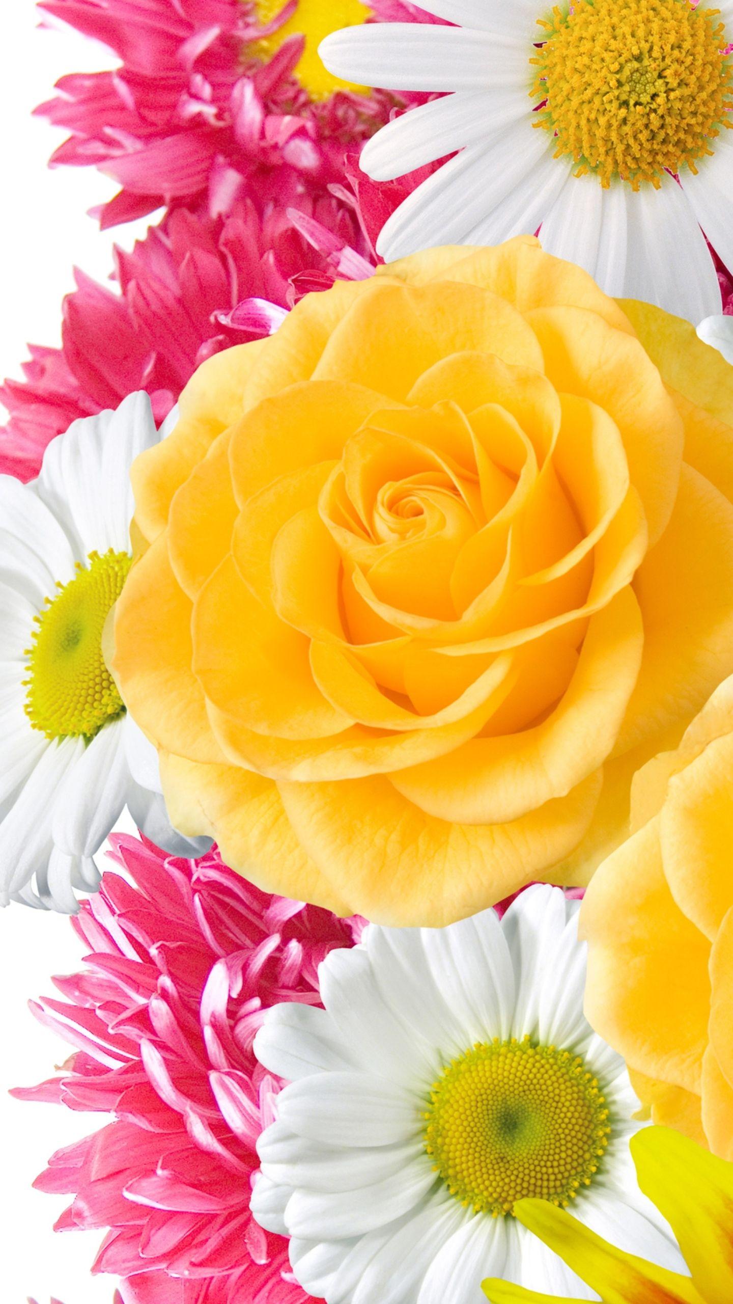 1440x2560 Earth Flower (1440x2560) Wallpaper
