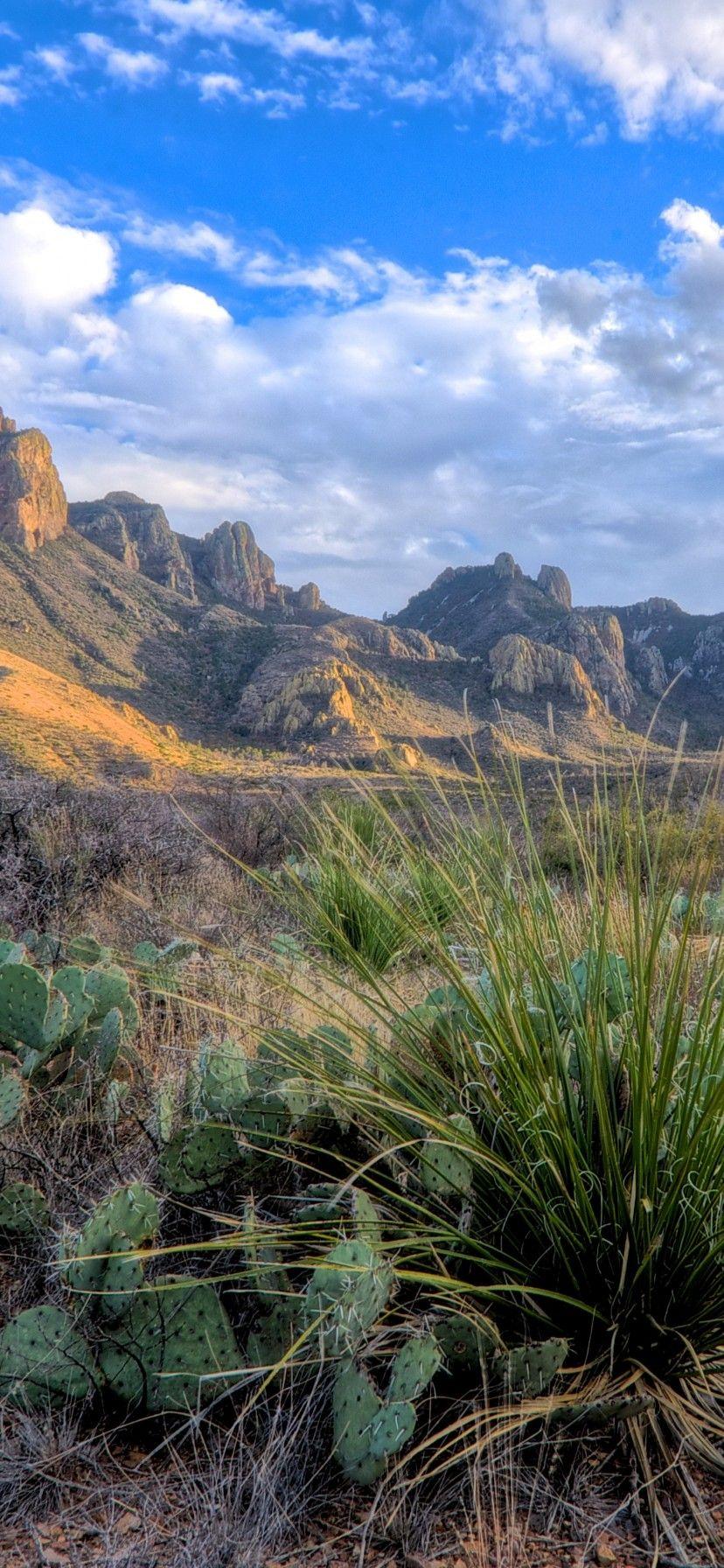 828x1792 Texas iPhone XR Wallpaper Download
