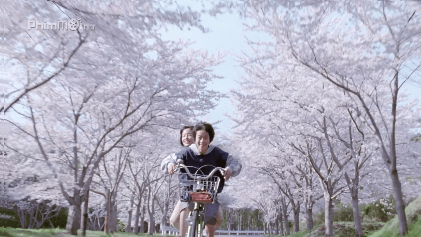1366x768 Japanese film