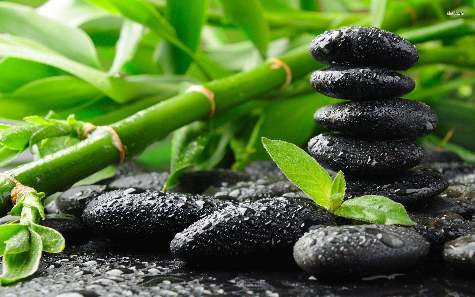 1920x1200 Zen Image, Awesome Zen Picture and Wallpaper (on LanLinGLaureL)