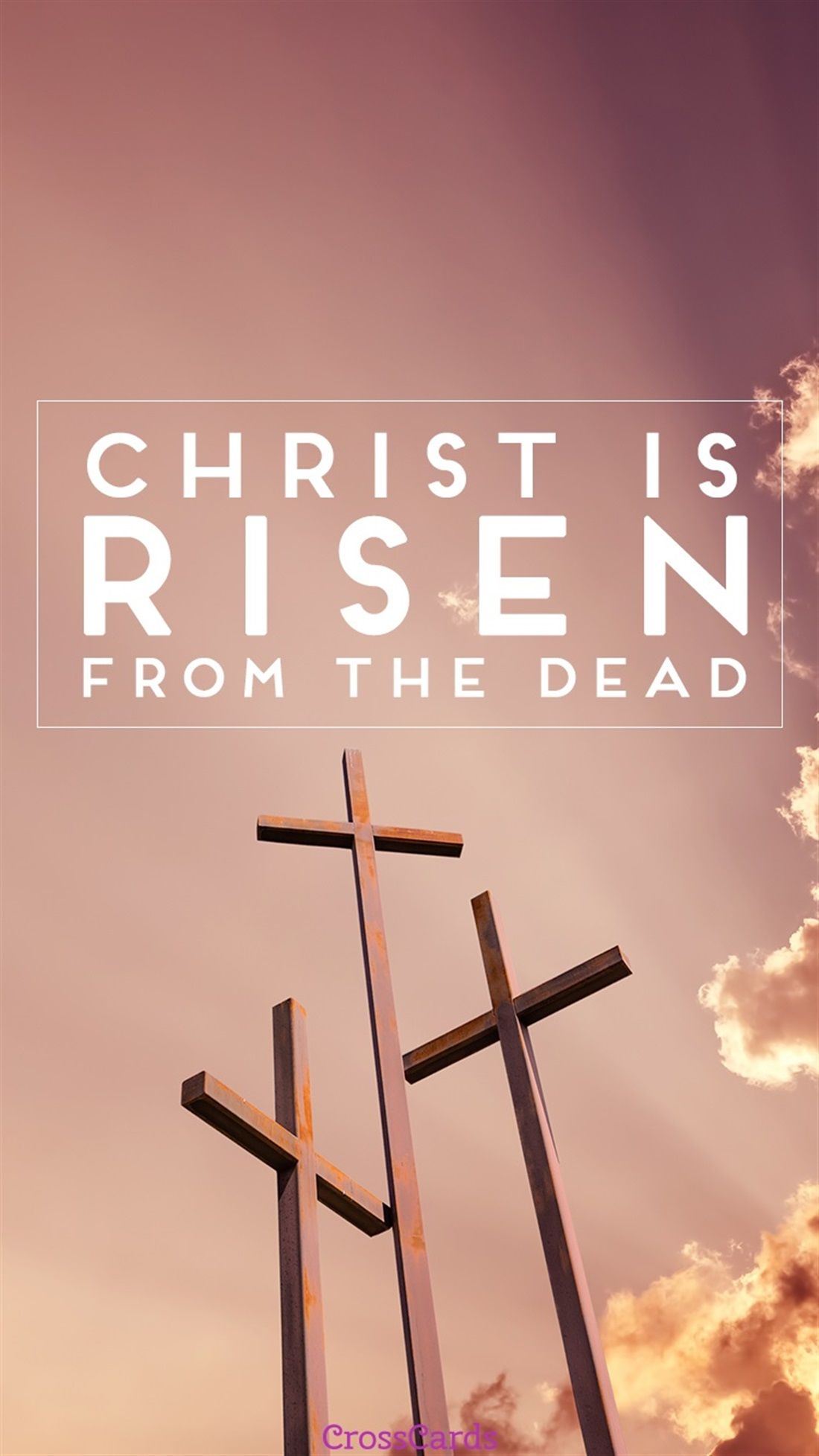 1100x1956 Risen. Christ is risen, Jesus