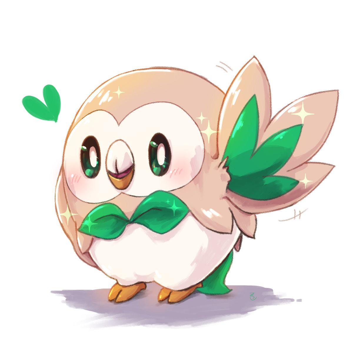 40 Rowlet Pokémon HD Wallpapers and Backgrounds