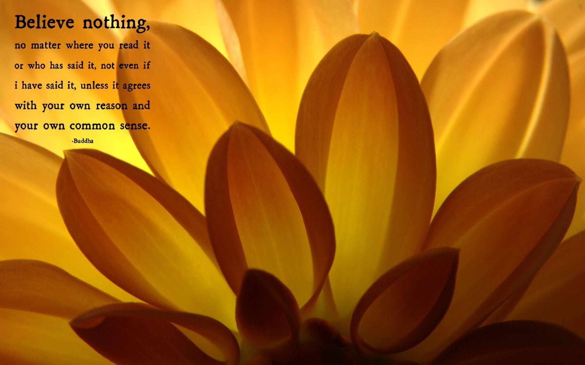 1920x1200 Zen Desktop Wallpaper. in printing and lithographic equipment