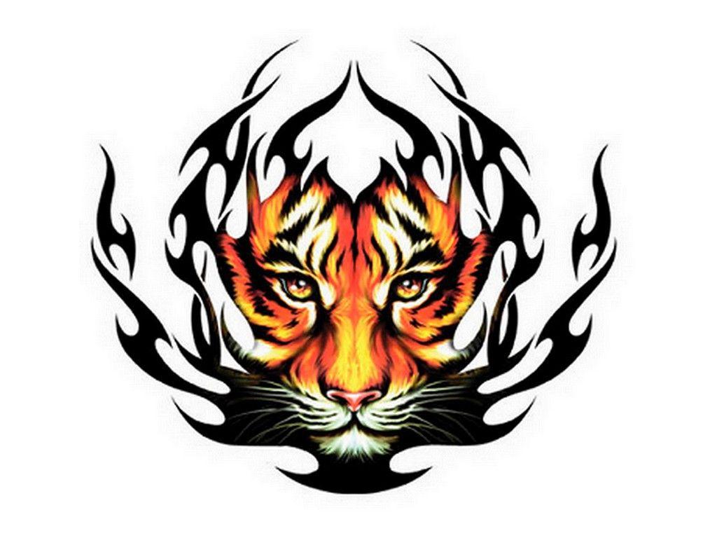 tiger logo wallpapers top những hình Ảnh Đẹp