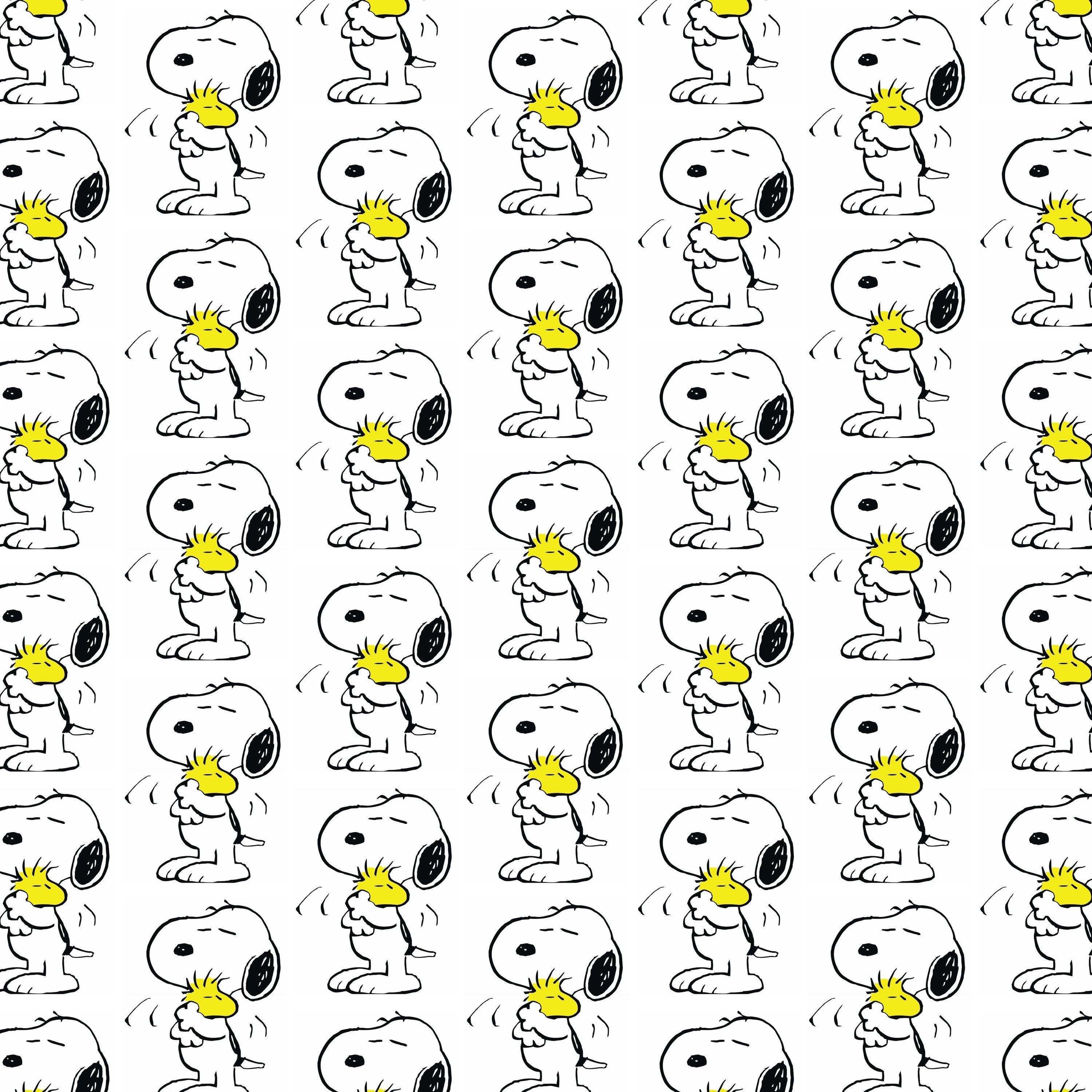 3000x3000 Snoopy. Cash Envelopes