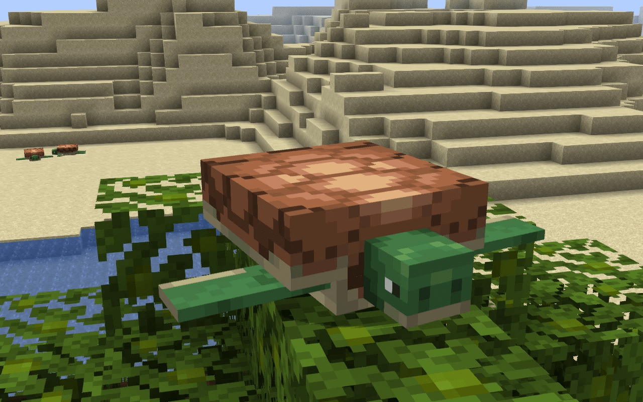 Minecraft Turtle Wallpapers Top Free Minecraft Turtle Backgrounds