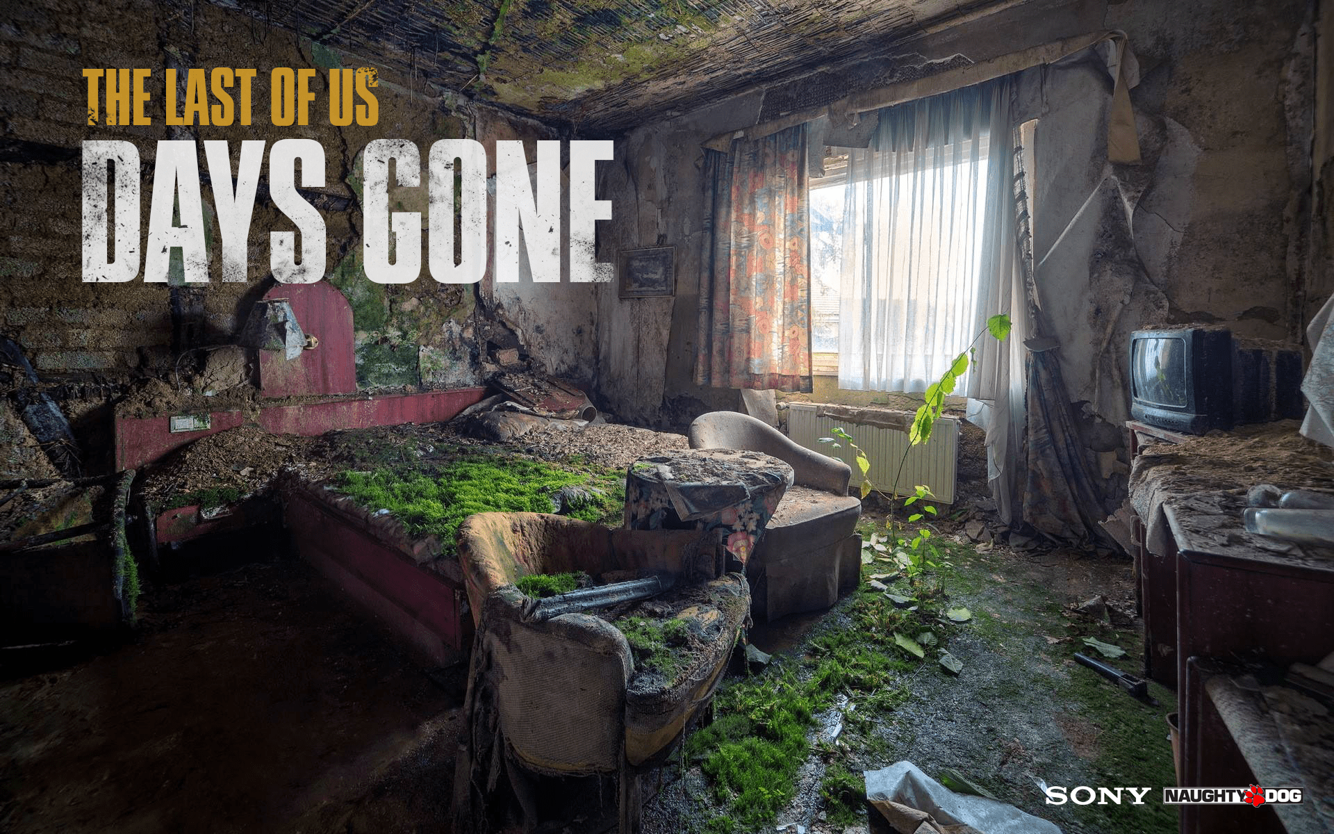 1920x1200 Days Gone Wallpaper