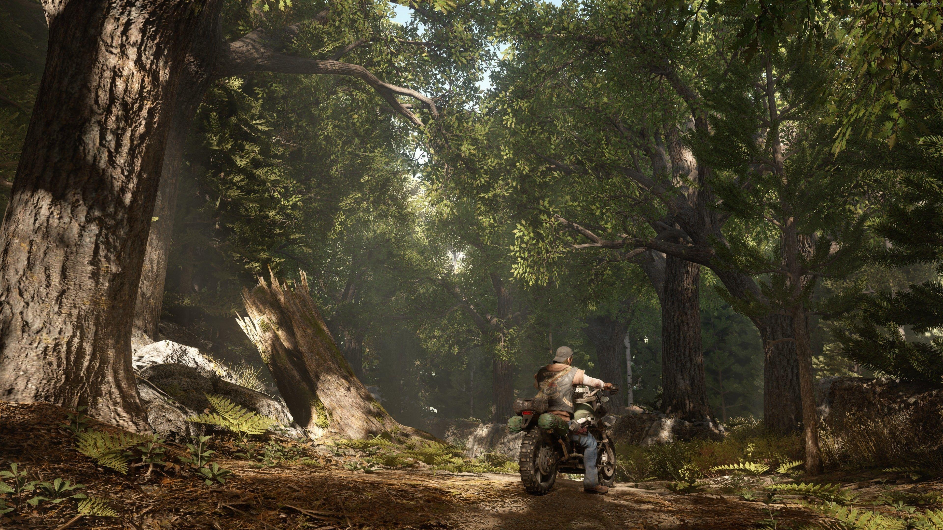 3840x2160 Days Gone Widescreen Wallpaper Background 62611 3840x2160px