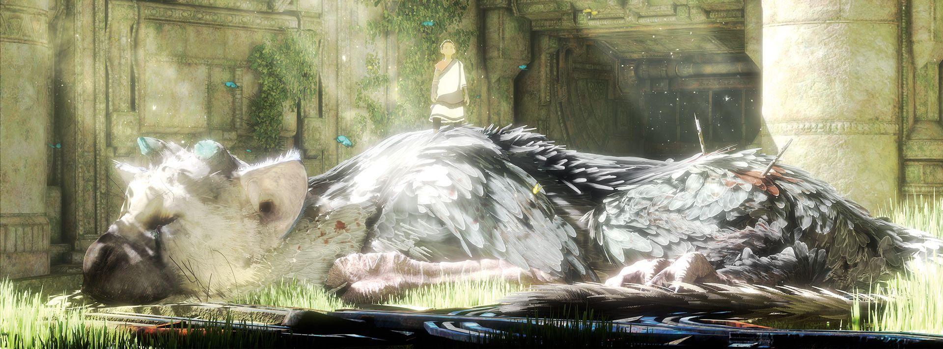 1920x712 Popular The Last Guardian Background Image Graphics