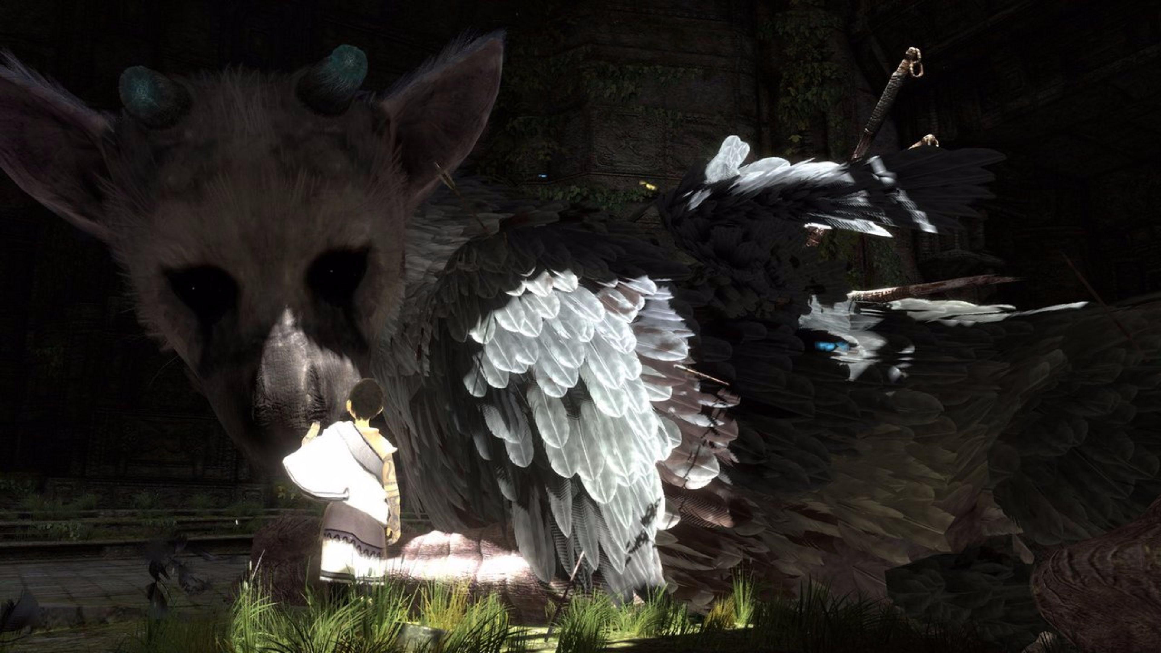 3840x2160 The Last Guardian Wallpaper