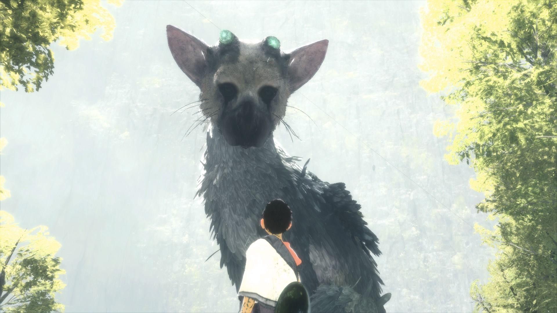 1920x1080 The Last Guardian PS3's Trico Had More Motion Patterns