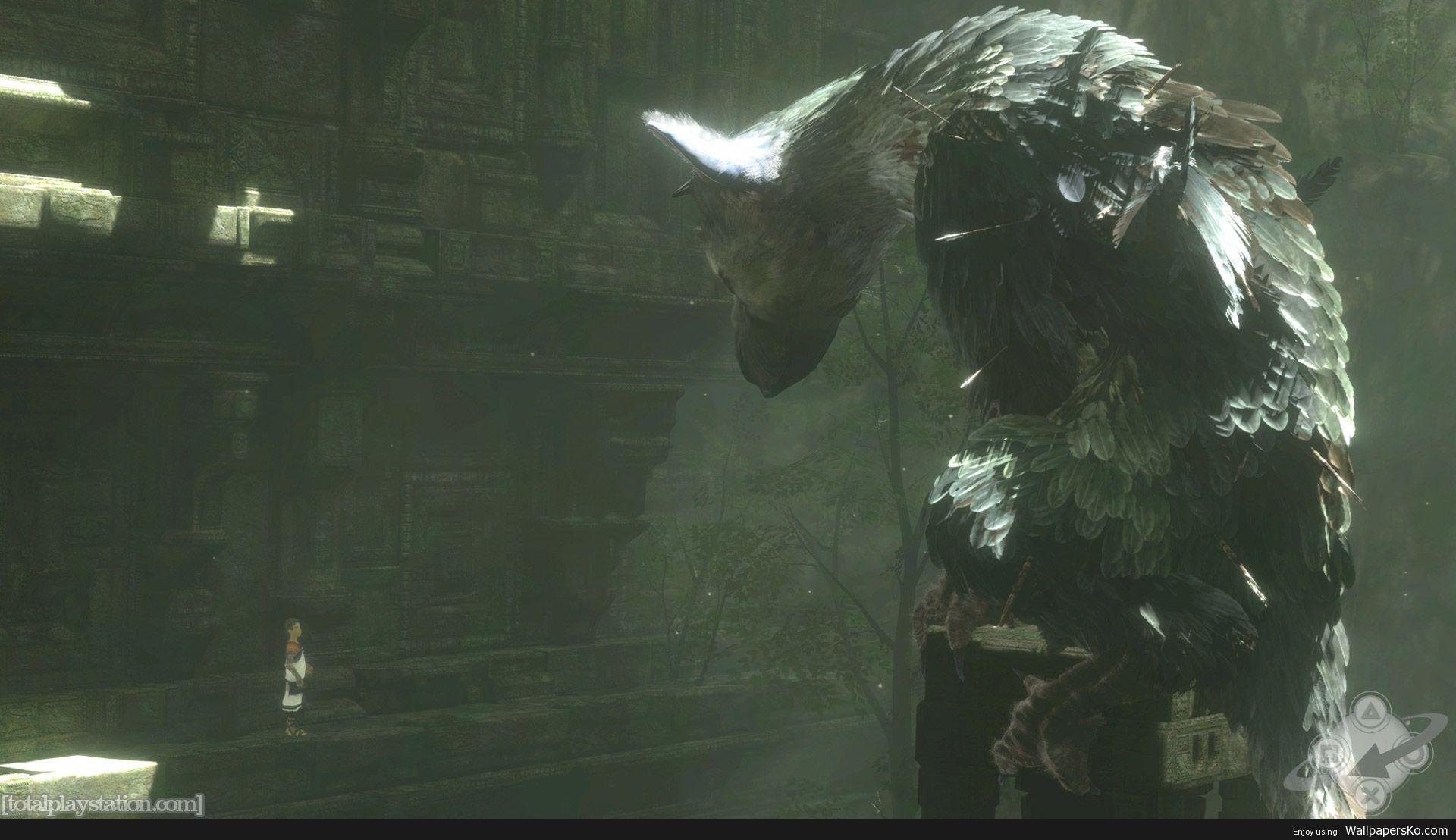 1920x1108 the last guardian wallpaper HD. HD Wallpaper Download