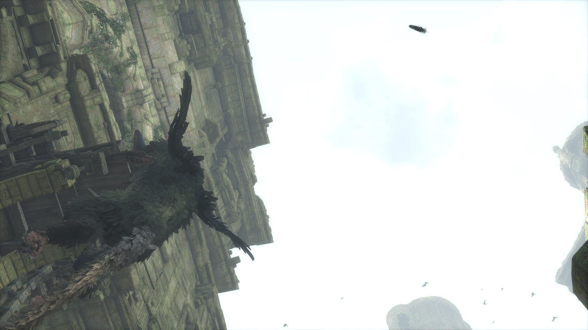 1920x1080 The Last Guardian™