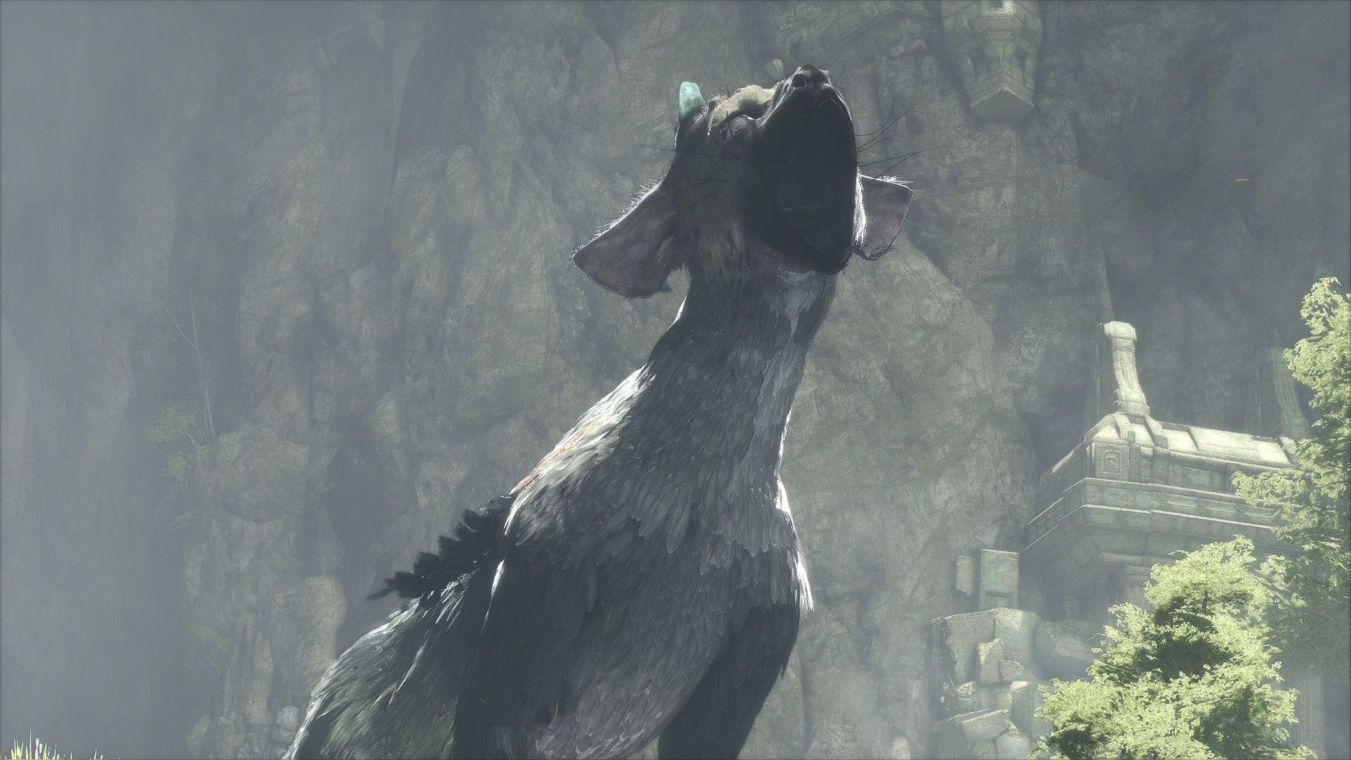 1920x1080 Awesome The Last Guardian Trico Wallpaper High Resolution