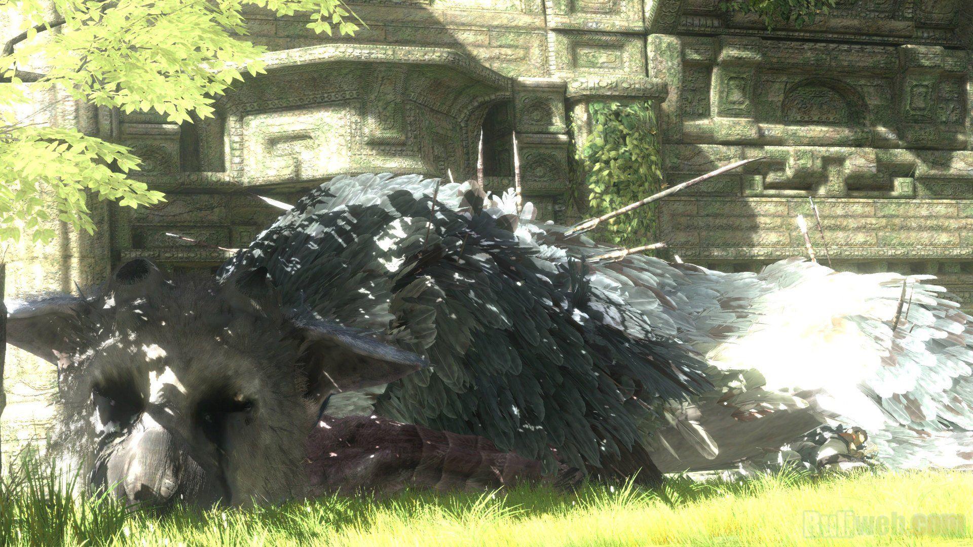 1920x1080 The Last Guardian HD Wallpaper and Background Image