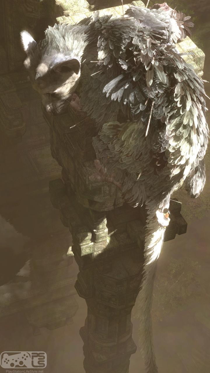 720x1280 The Last Guardian Wallpaper HD, Picture