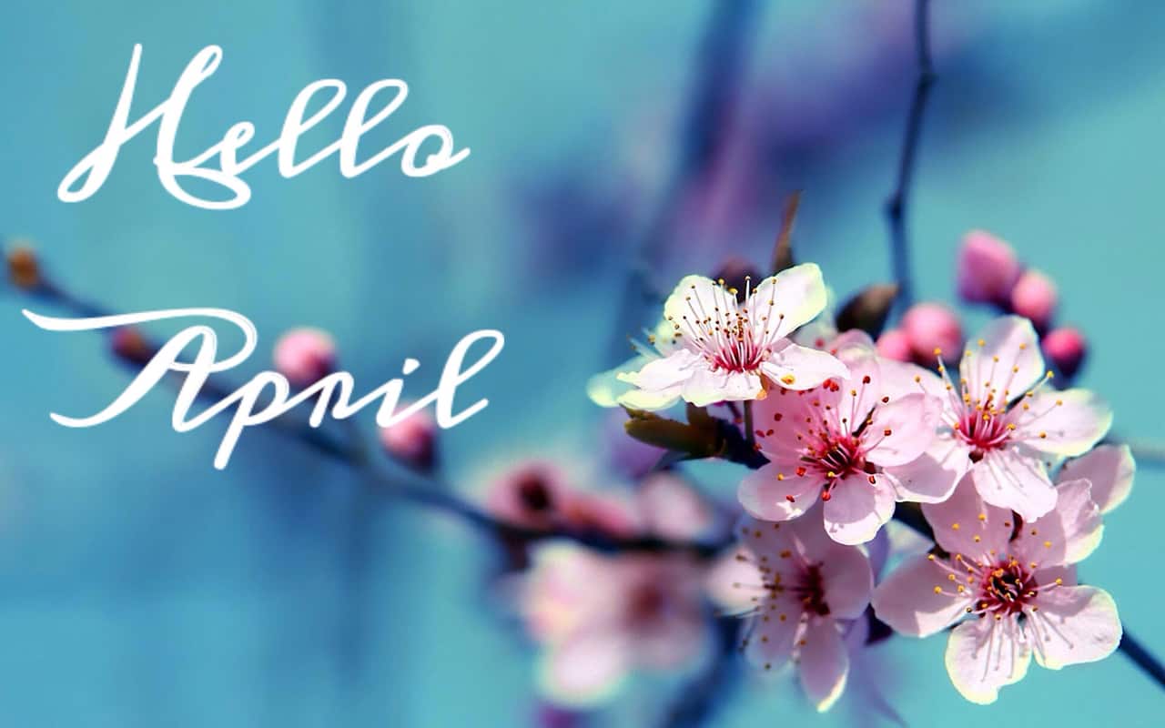 Hello April Wallpapers - Top Free Hello April Backgrounds - WallpaperAccess