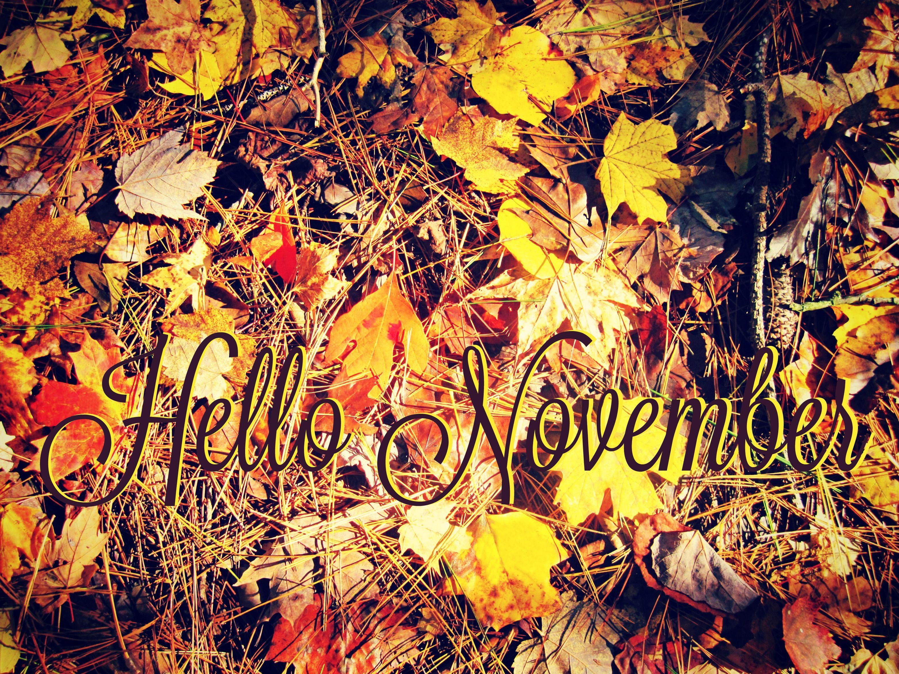 3128x2346 Hello November HD Wallpaper