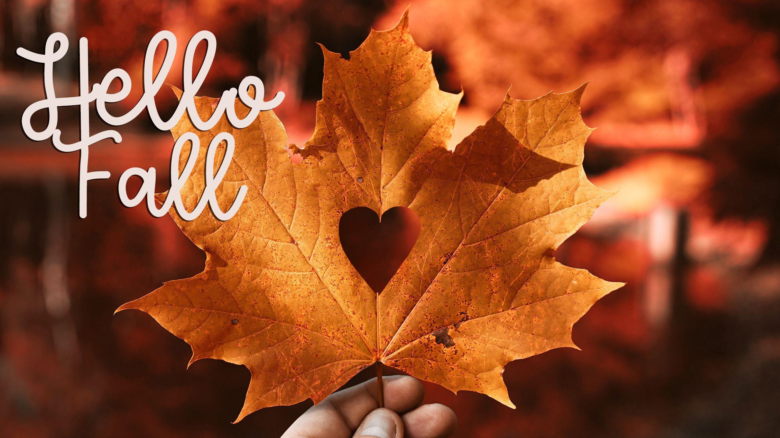 Hello Fall Wallpapers - Top Free Hello Fall Backgrounds - WallpaperAccess