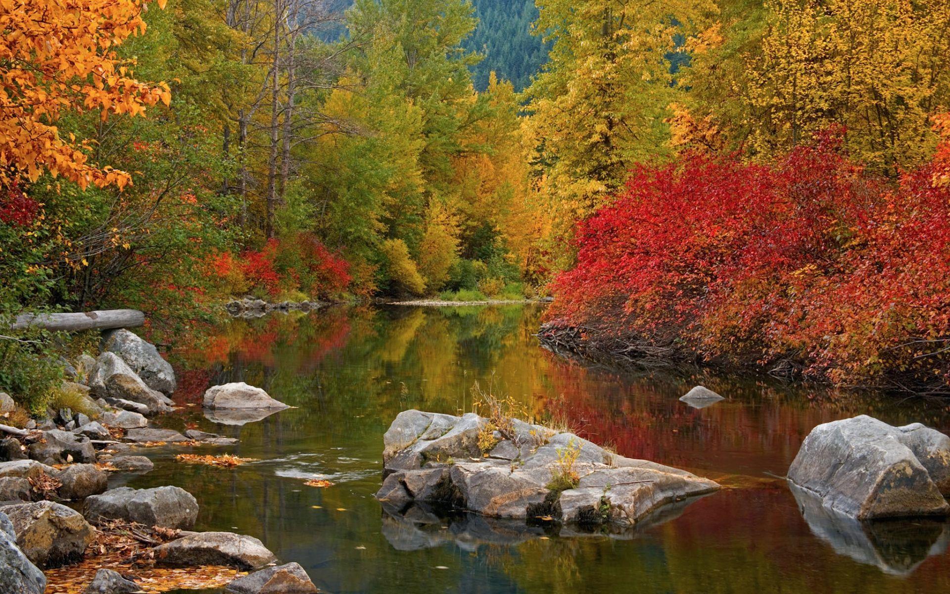 1920x1200 Nason Creek Stevens Pass #Washington Windows 8 Wallpaper