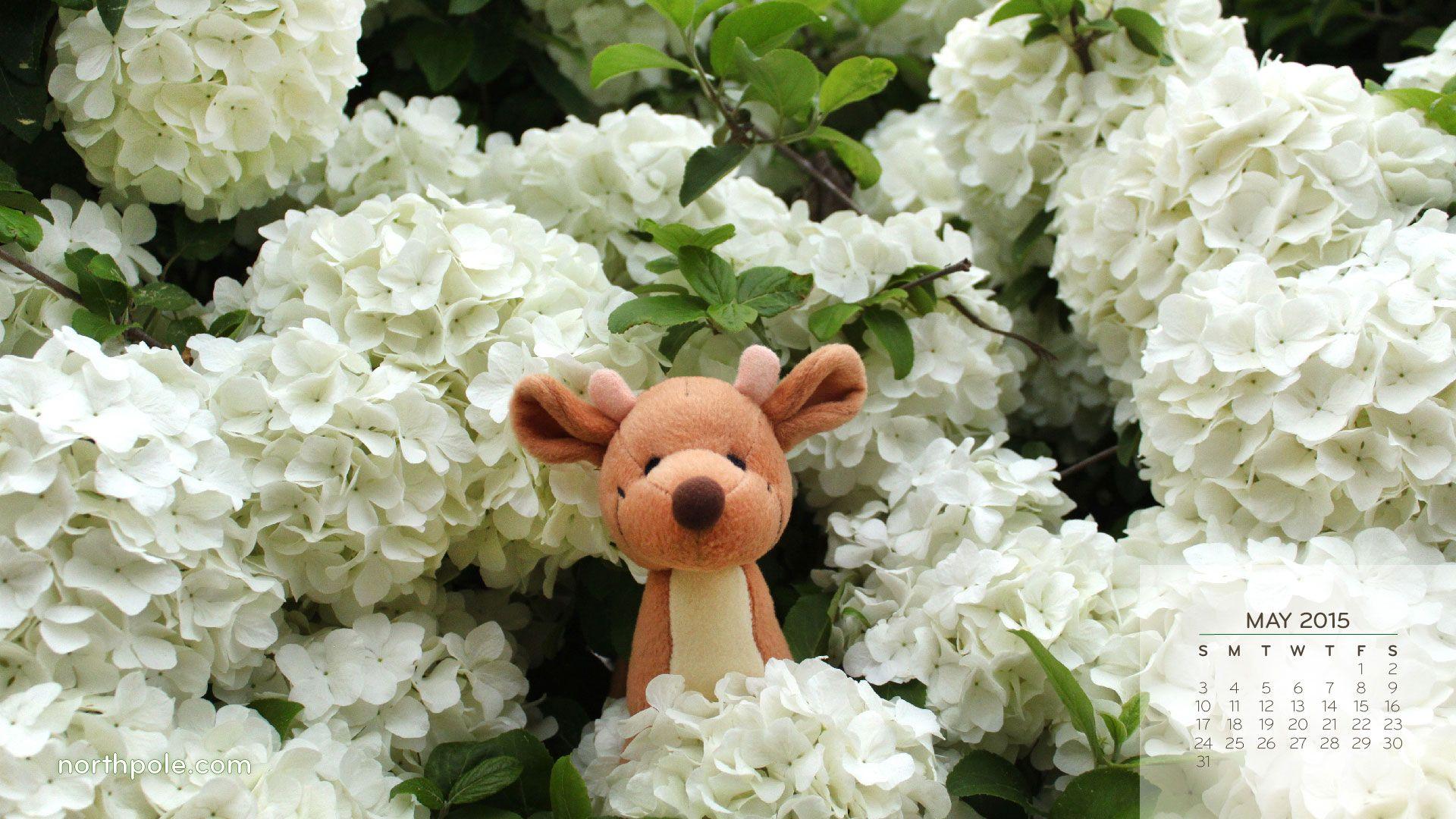 1920x1080 Free Wallpaper: April Showers Bring May Flowers