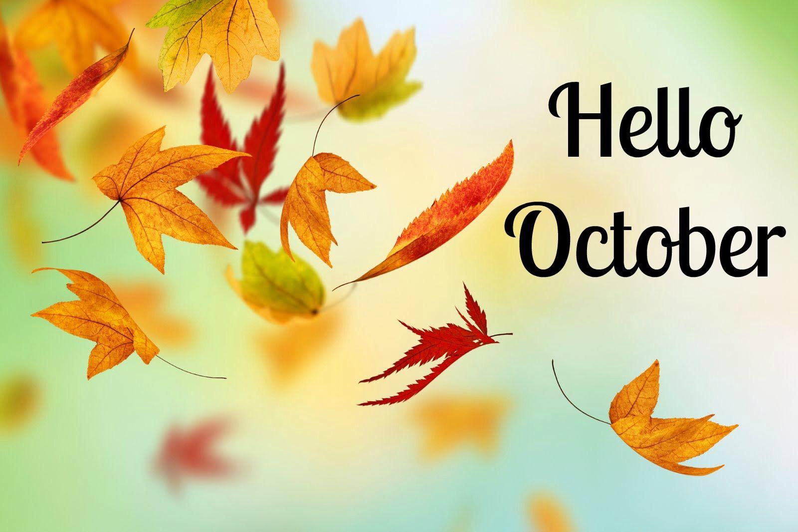 Hello October Fall Quotes Wallpapers Top Free Hello October Fall 