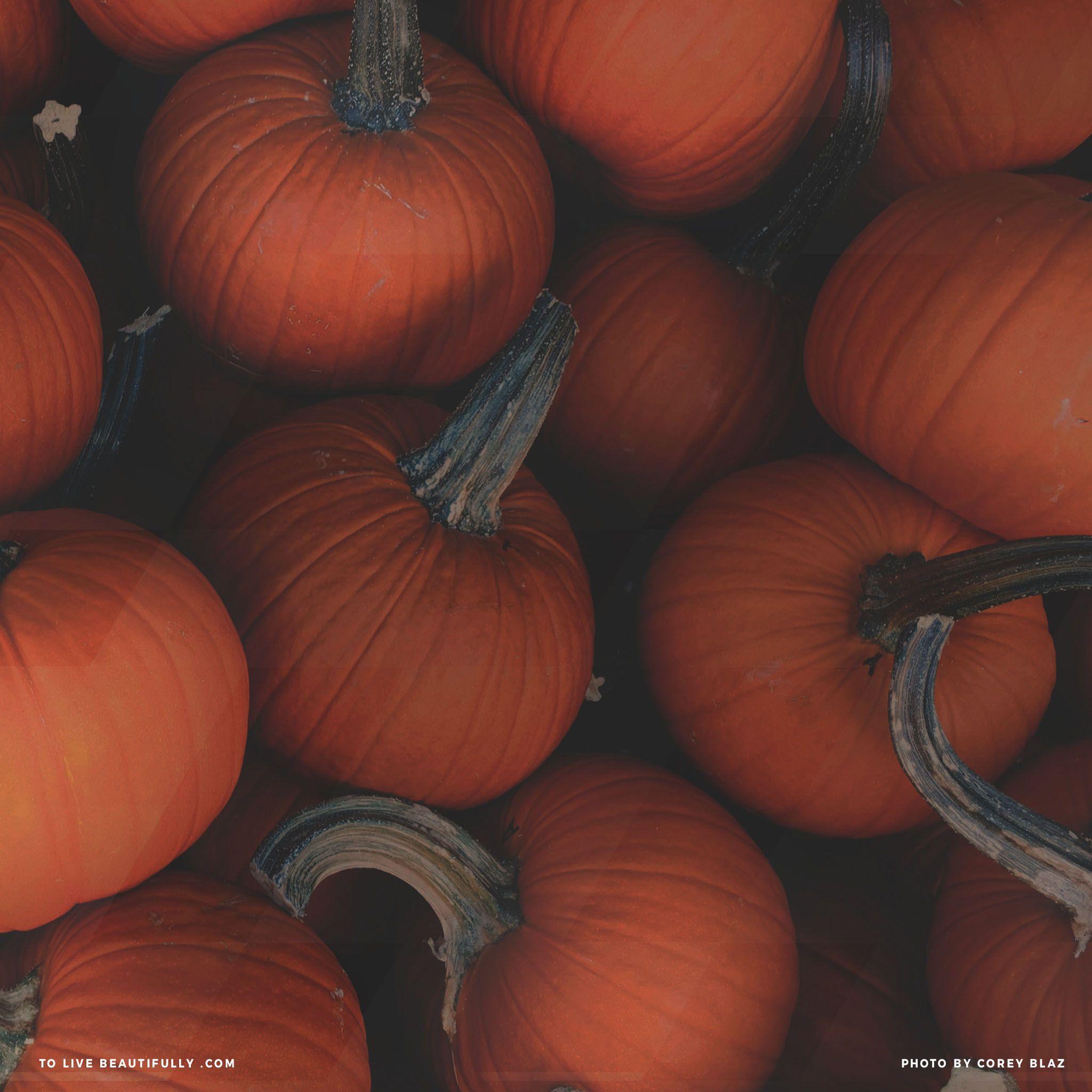 Hello October with Pumpkin Wallpapers - Top Free Hello October with ...