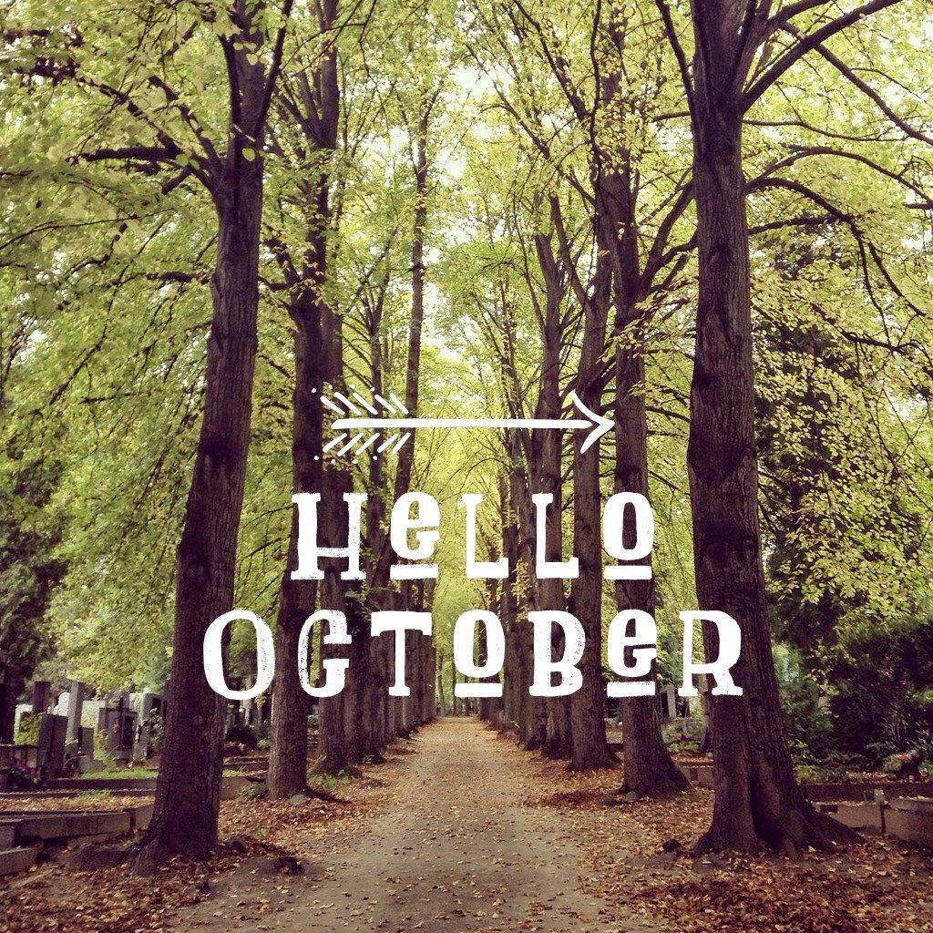 Hello October Fall Quotes Wallpapers - Top Free Hello October Fall ...