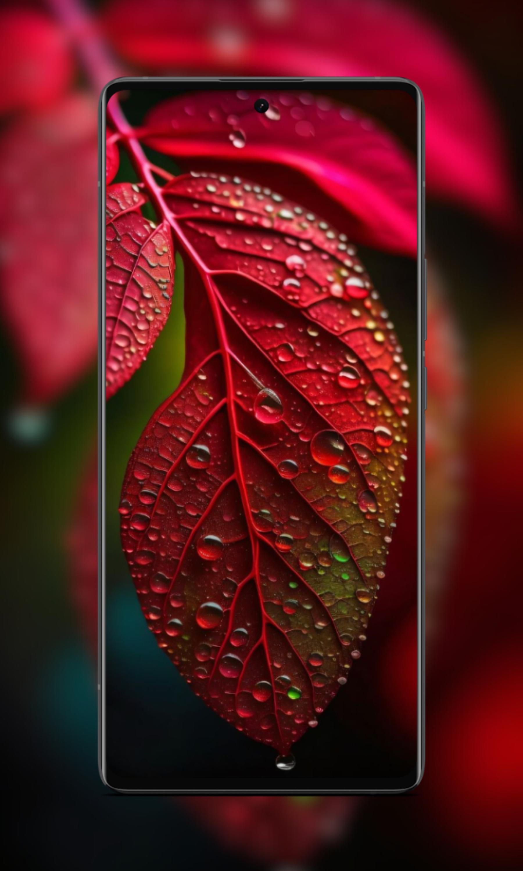 Vivo V30 Pro Wallpapers - Top Free Vivo V30 Pro Backgrounds