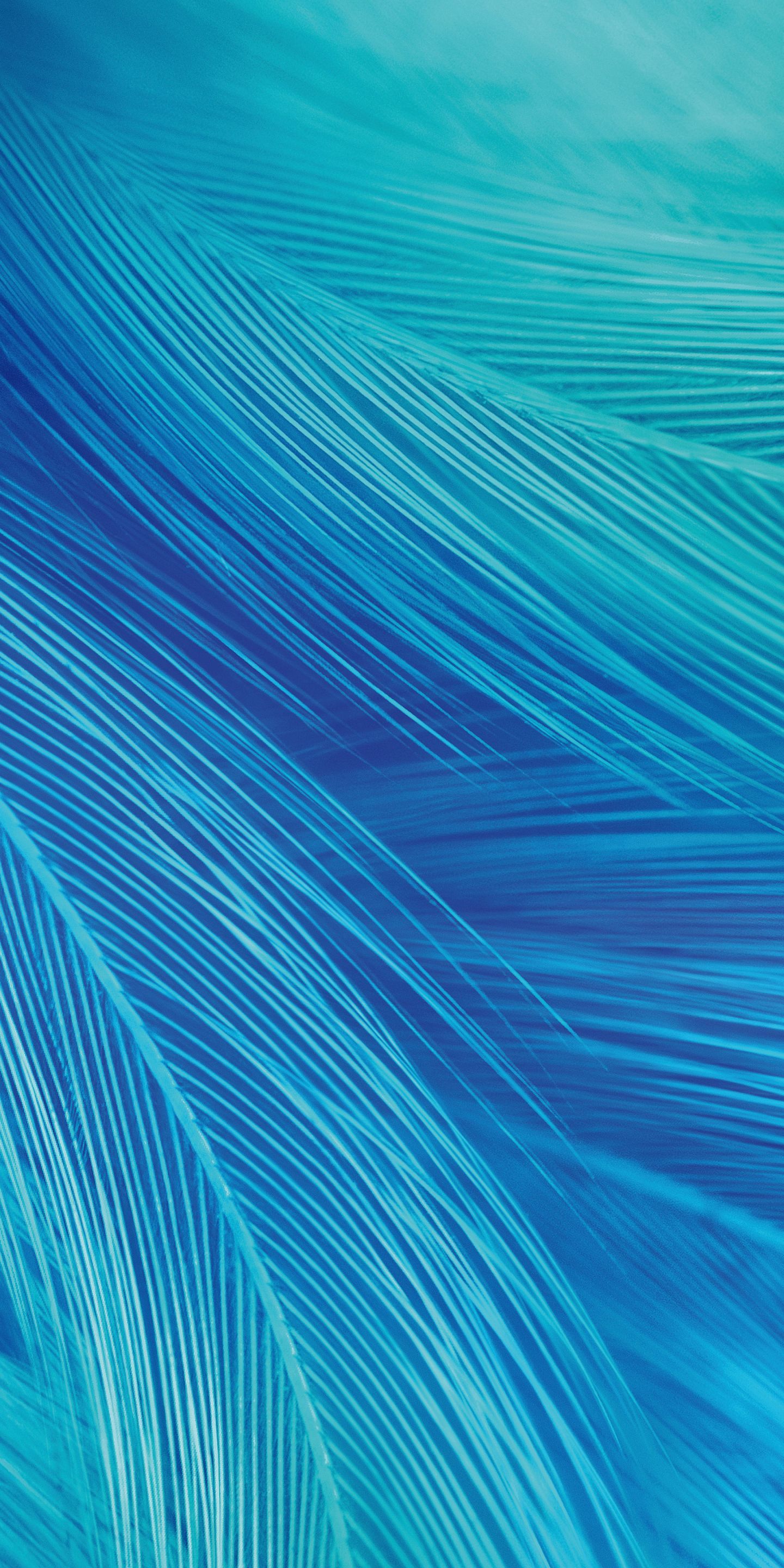 1440x2880 Download wallpaper 1440x2880 vivo x27