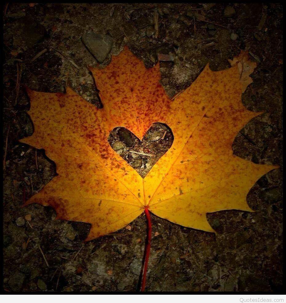 930x987 Tumblr Autumn Quotes And Sayings With Wallpaper HD