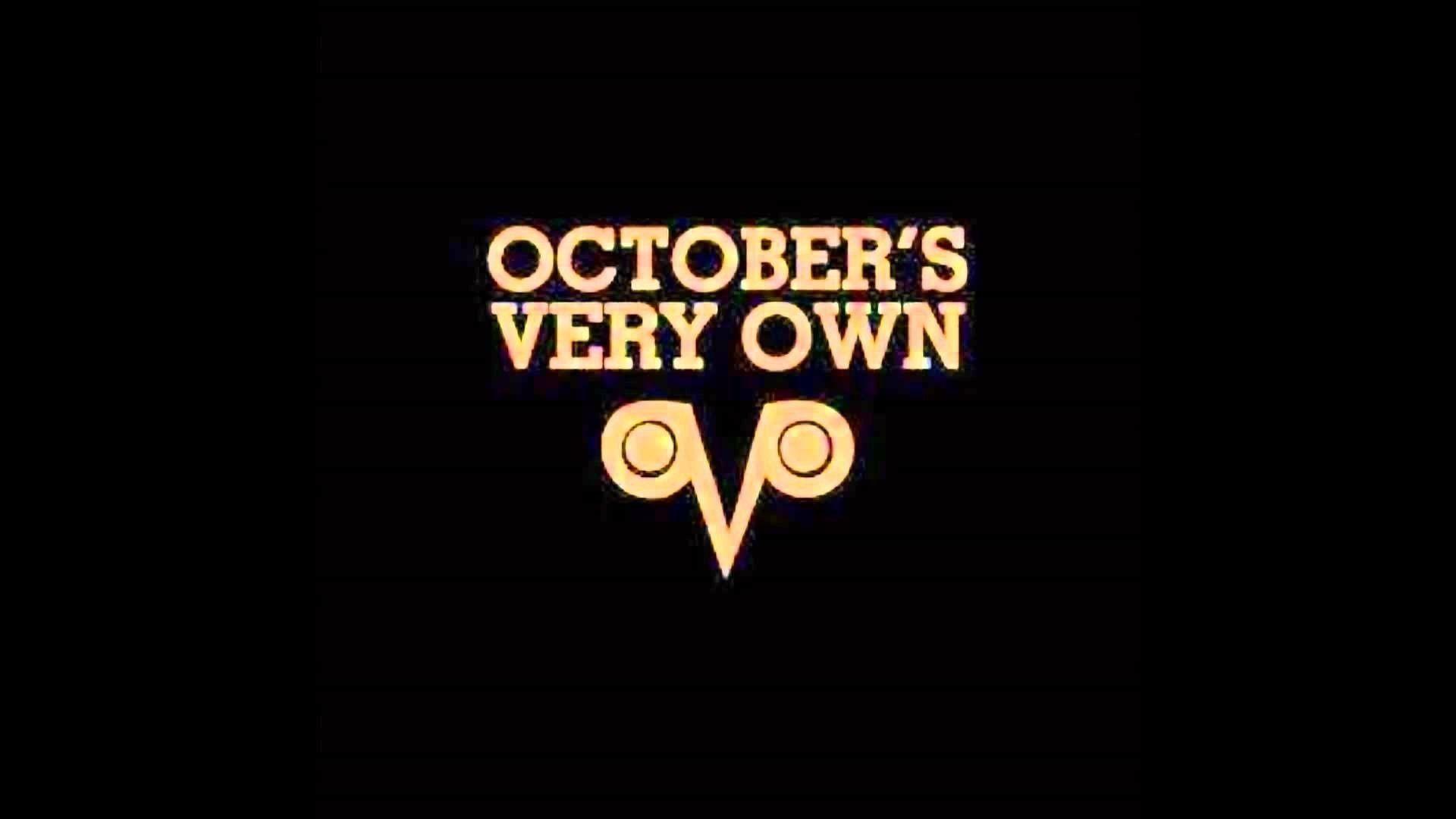 1920x1080 Ovo Owl Wallpaper