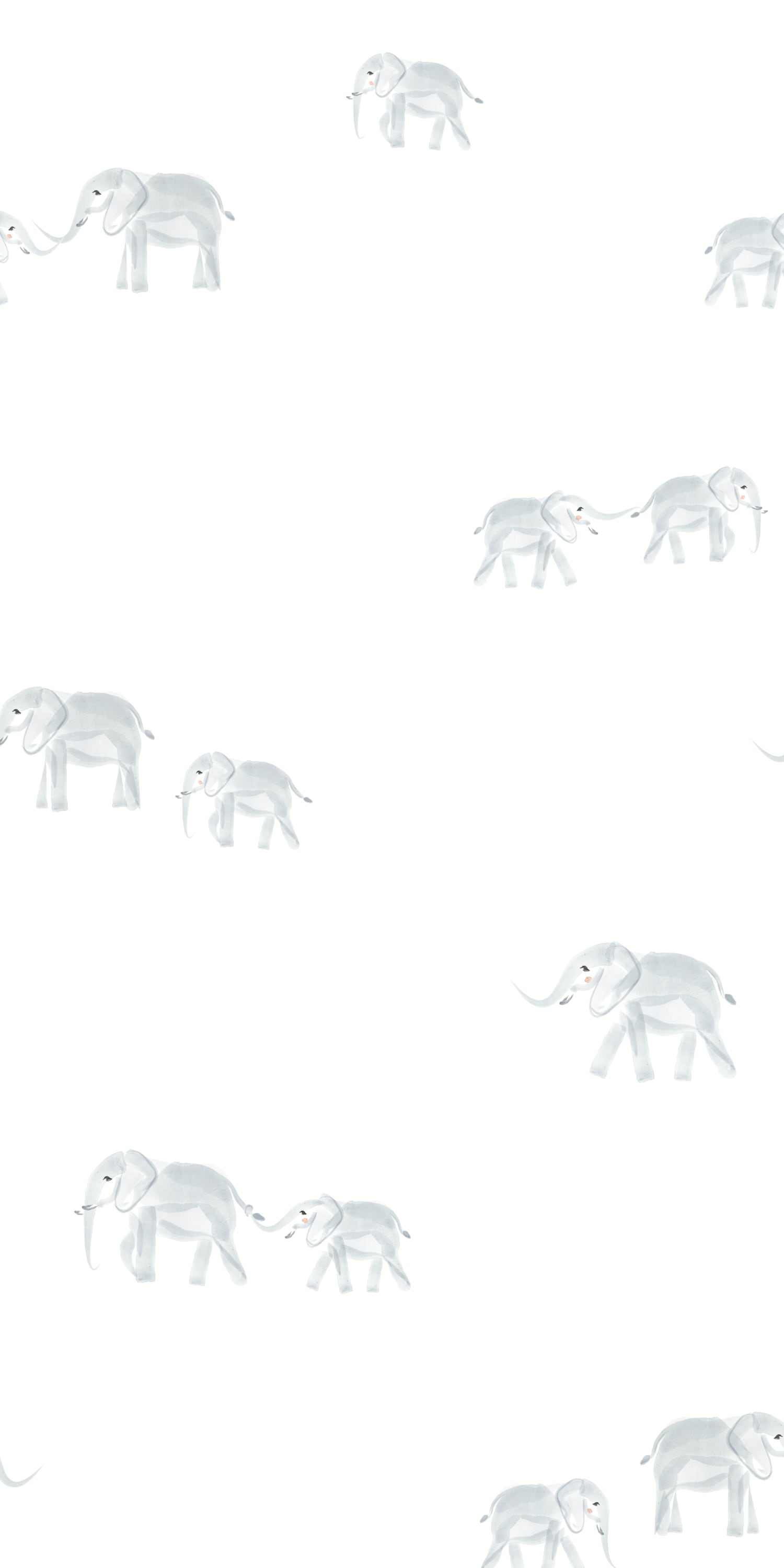 1500x3000 Follow Me