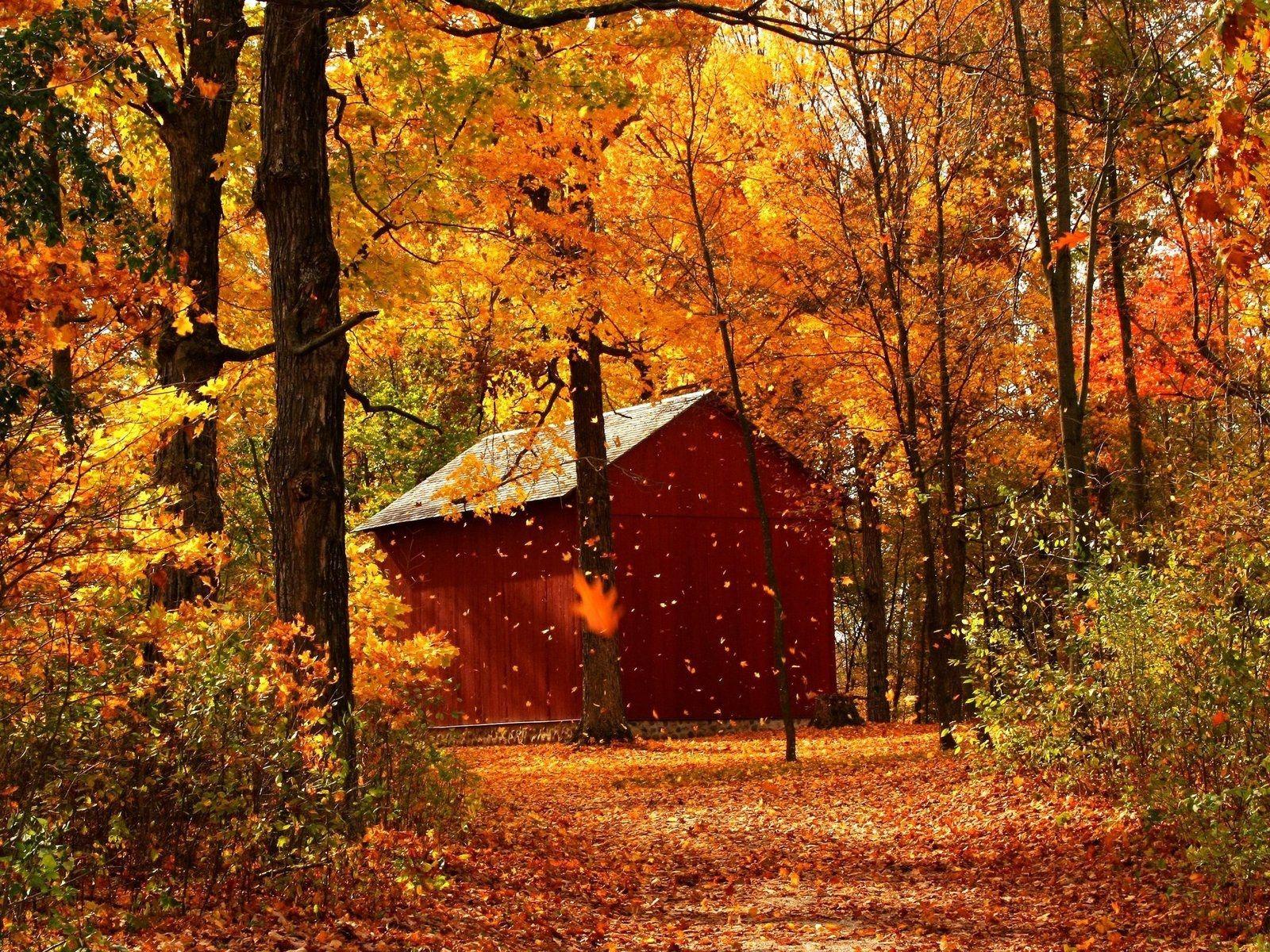1600x1200 Download wallpaper 1600x1200 leaf fall, autumn, garage, wood