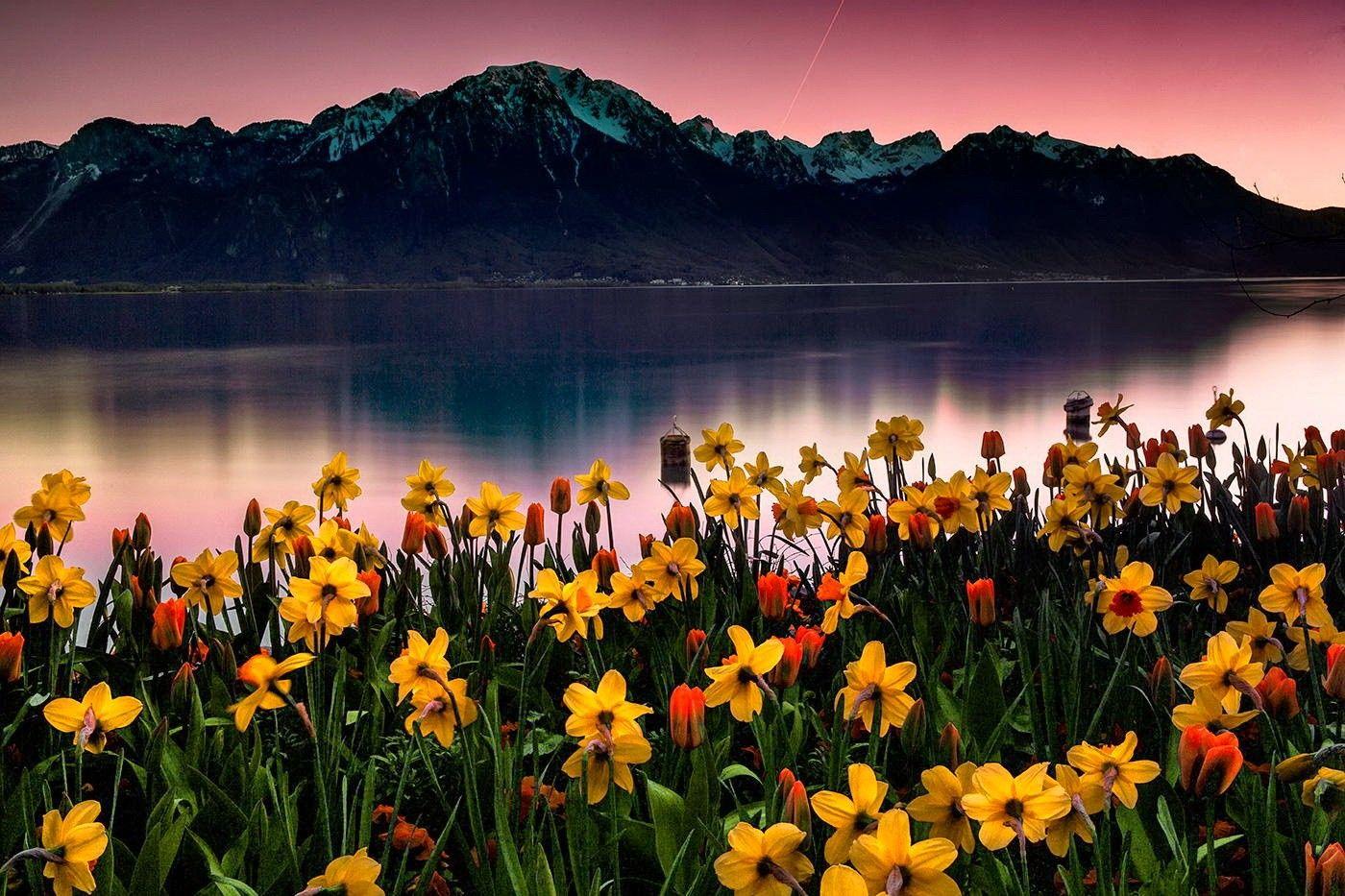 Pretty October Wallpapers - Top Free Pretty October Backgrounds ...