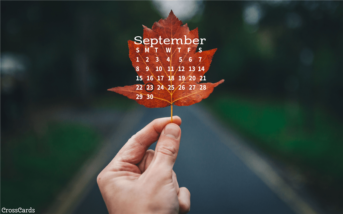 Pretty October Wallpapers - Top Free Pretty October Backgrounds ...
