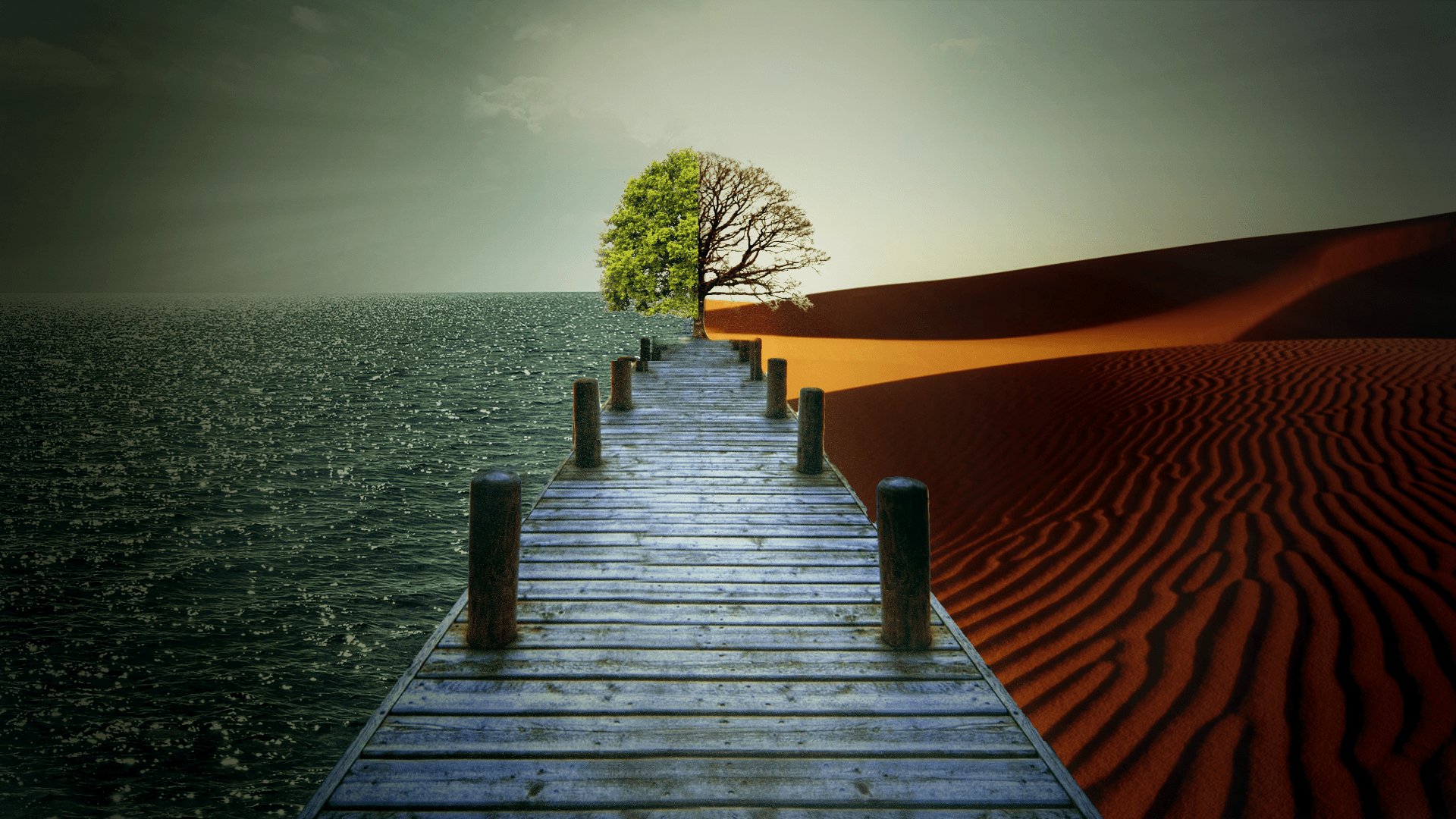 1920x1080 Artistic Tree HD Wallpaper