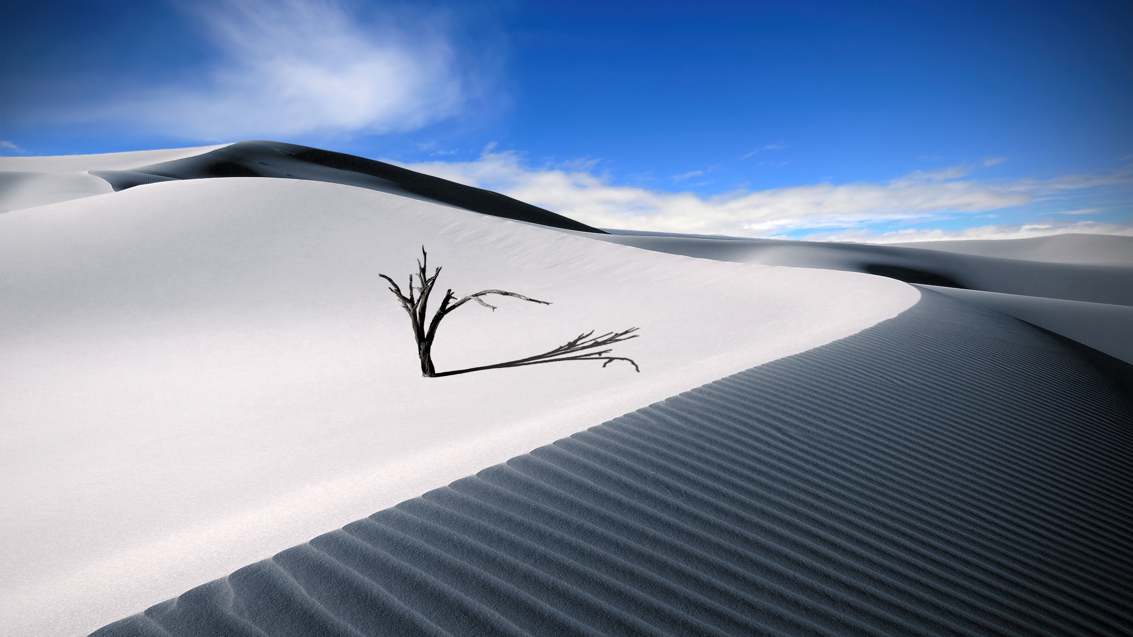 3840x2160 Sand Dunes Wallpaper 4K, Lone tree