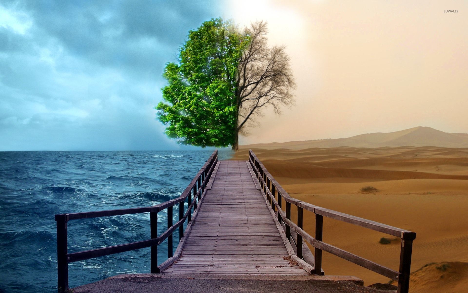 1920x1200 Ocean and desert tree wallpaper