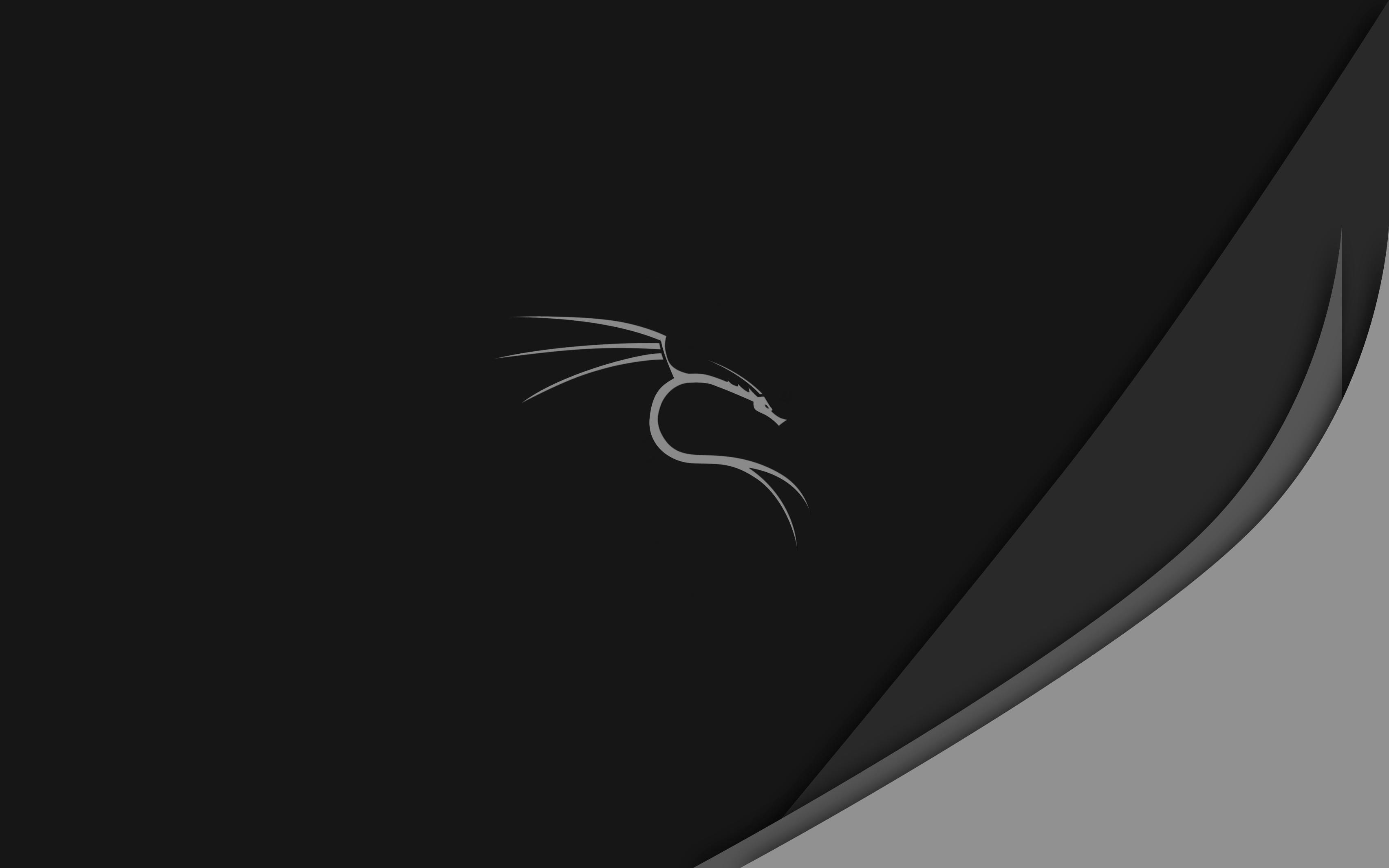 Kali Linux Wallpapers Top Free Kali Linux Backgrounds Wallpaperaccess