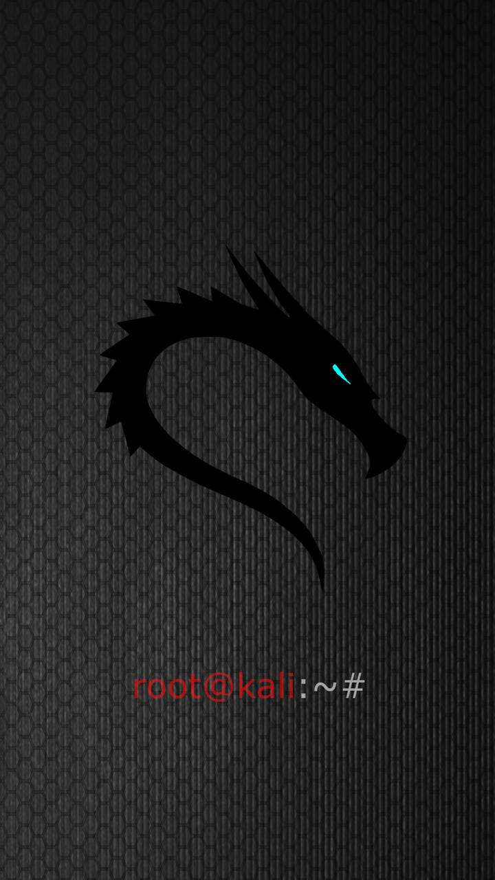 Kali Linux Wallpapers Top Free Kali Linux Backgrounds