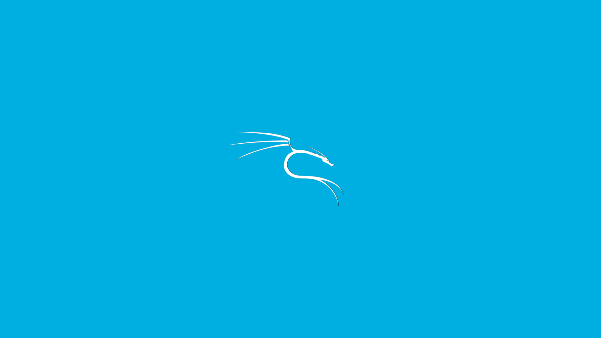 1920x1080 Kali Linux Background 1920x1080